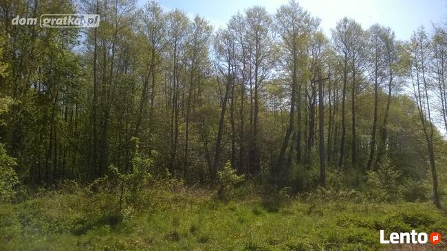 13ha w Boguszycach