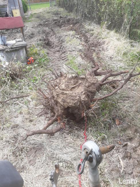 Mycie kostki, elewacji, wycinka drzew, koszenie, rębak,