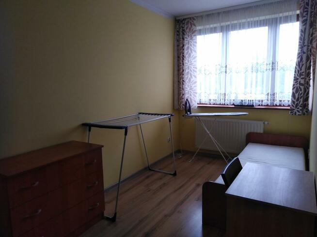 Kraków centrum Ul.Kamienna pokoje do wynajęcia