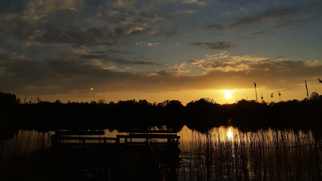 Pokoje Gościnne Anna i Dariusz Roziccy