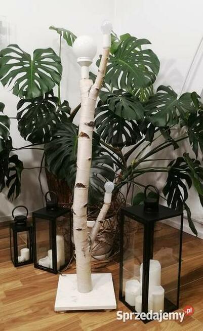 Lampa stojąca - oryginalna - konar brzozy