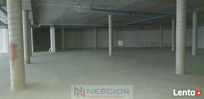 Lokal biurowo usługowy