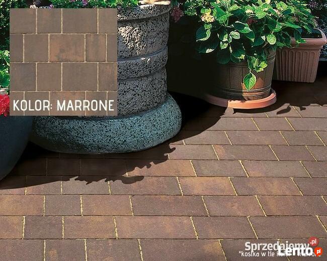 Semmelrock kostka brukowa gładka Pavimo Marrone (brąz) 6 cm