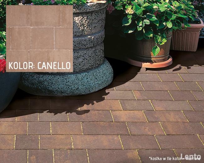 Semmelrock kostka brukowa gładka Pavimo Canello (beż) 6 cm