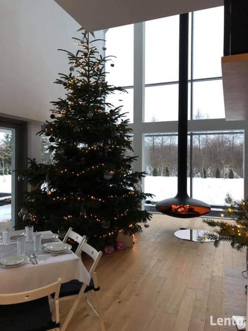 Focus GYROFOCUS Kominek Centralny Wiszący