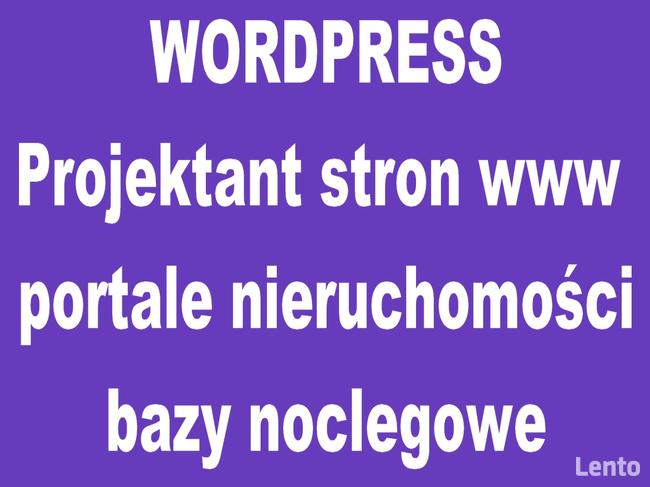 Wordpress Projektant stron internetowych www