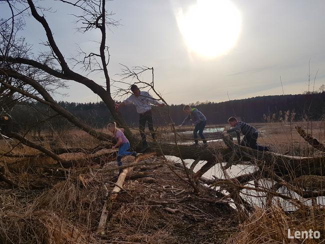 Pole biwakowe , camping nad jeziorem i Drwęcą