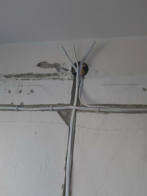 Złota Rączka Konserwator