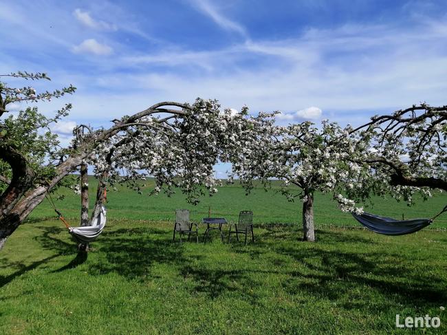 Apartament w Oklinach, Podlaski Bon Turystyczny. Suwalszczyz