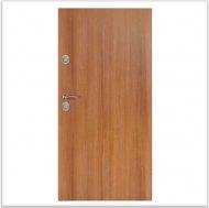 Drzwi Delta MAGNUM 68K/KR ANTYWŁAMANIOWE