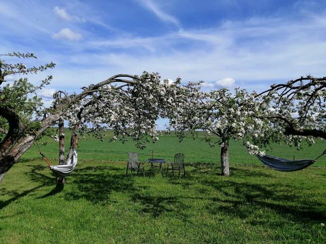 Apartament w Oklinach, Suwalszczyzna