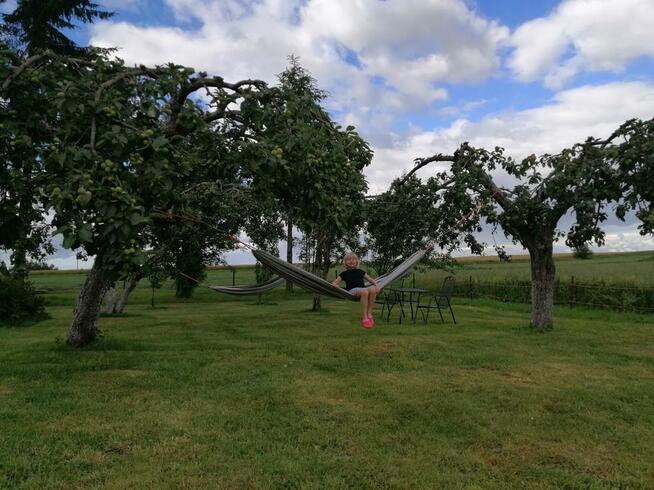 Apartament w Oklinach, Suwalszczyzna