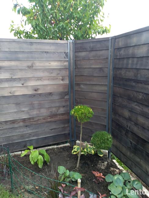 Pergole, przepierzenia