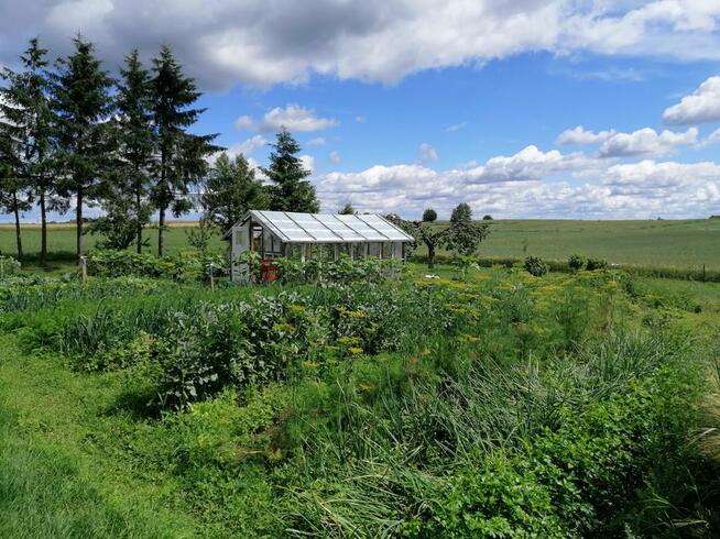 Apartament w Oklinach, Podlaski Bon Turystyczny. Suwalszczyz