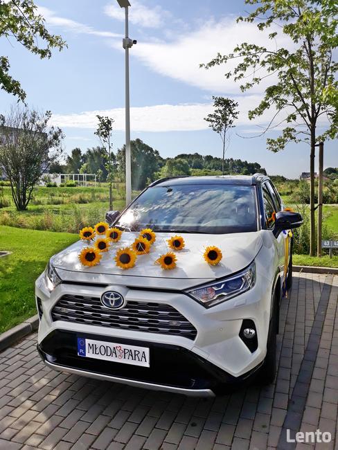 Dekoracja sali, kościoła pojazdu Gdańsk