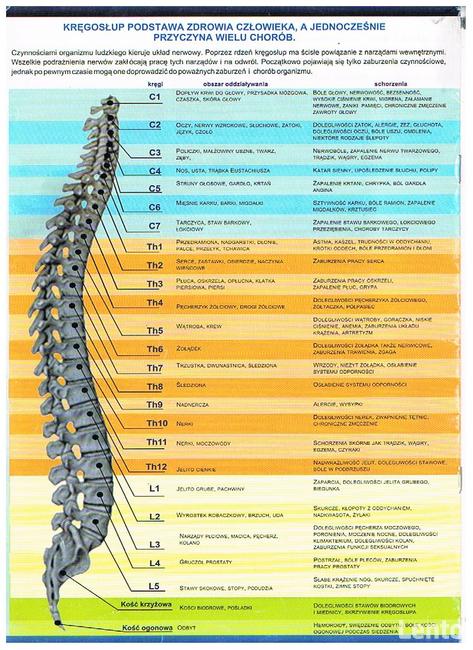 Ból pleców, kręgosłupa ? wypróbuj Ceragem!