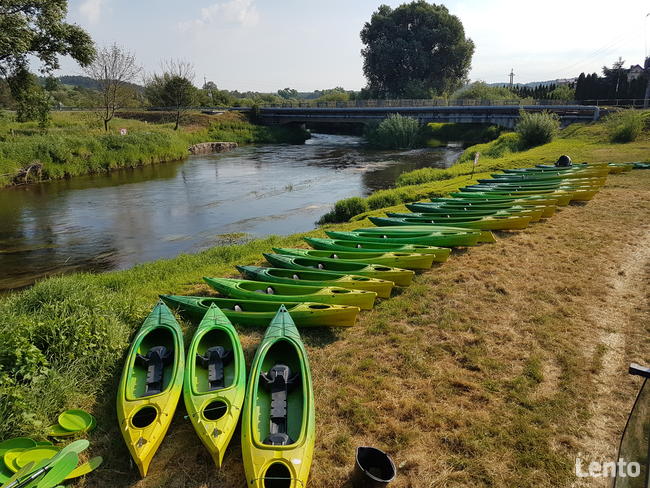 Kajaki i kanu Drwęca - Wel