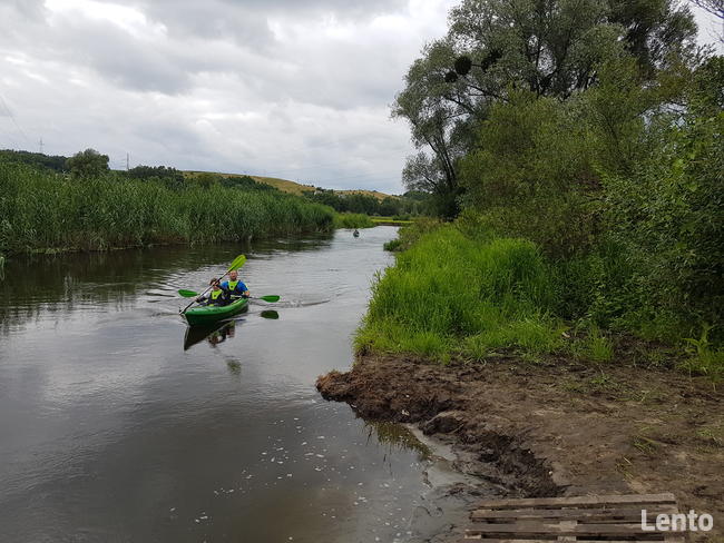 Kajaki i kanu Drwęca - Wel