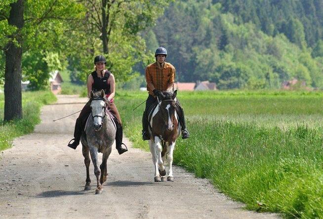Tanie pokoje w Górach