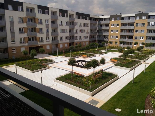 3 pokojowe do wynajęcia Wrocław BEZPOŚREDNIO