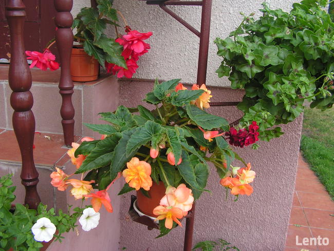 Ekowczasy-Agroturtystyka nad Bugiem