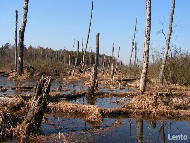 Ekowczasy-Agroturtystyka nad Bugiem
