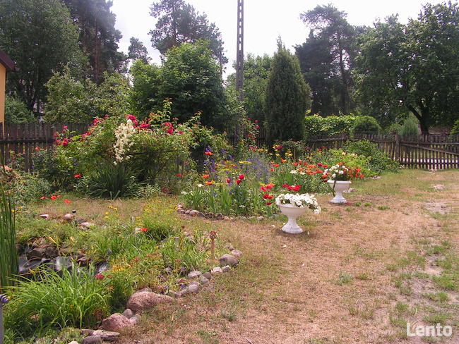 Ekowczasy-Agroturtystyka nad Bugiem