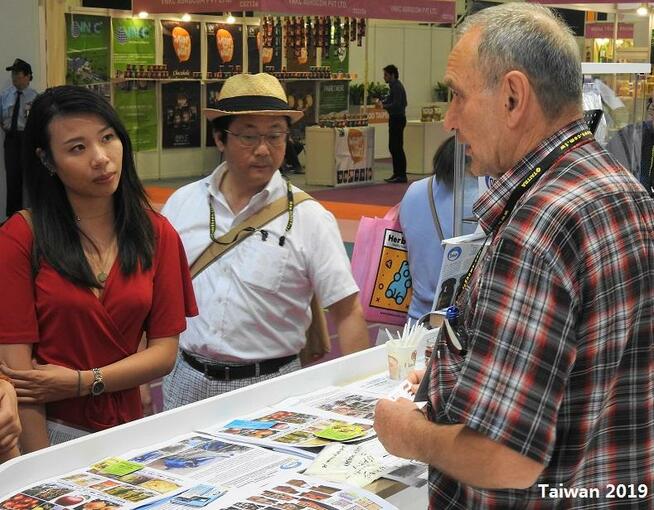 Szlifierka elektryczna SD40 do betonu Dekor