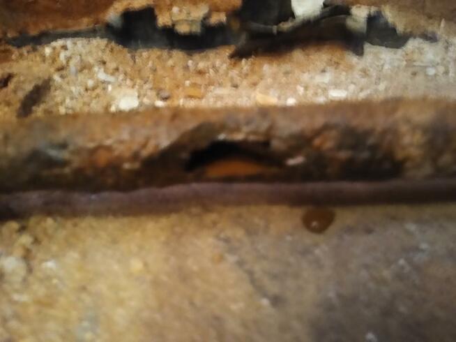 udrażnianie rur kanalizacyjnych oraz kamera video