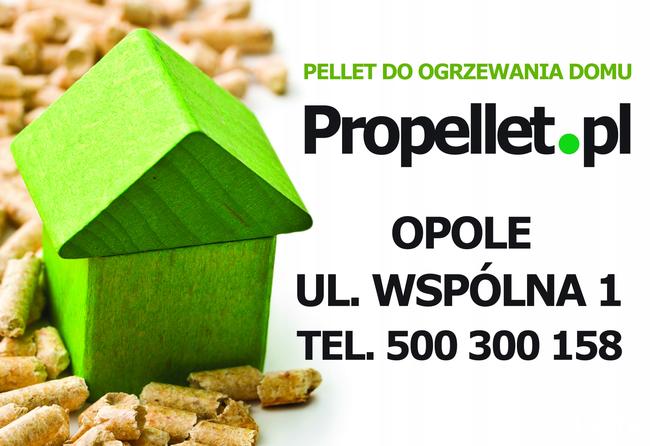Pellet Lava 6 mm 1t Propellet24 Opole ul. Wspólna 1
