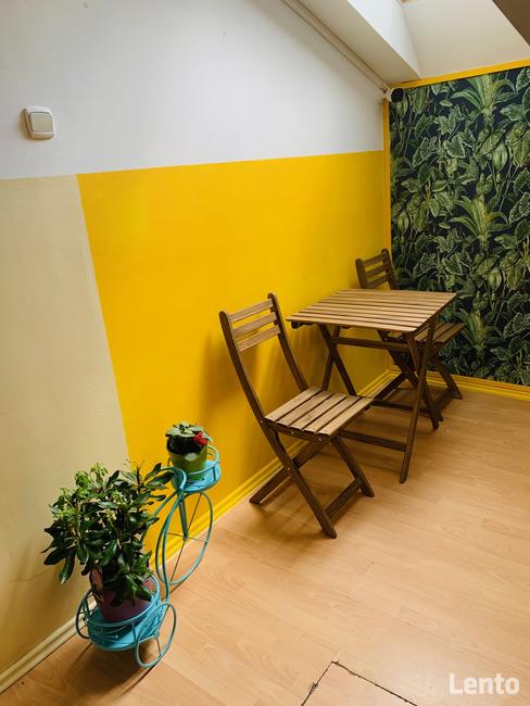 Biuro-lokal na wynajem