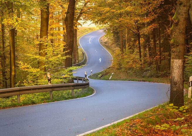 North Bus / Busy Polska Niemcy Holandia Belgia