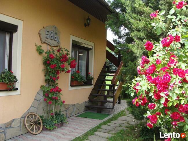 Nocleg w górach-1.5 km od Rabki Zdrój,38 km od Zakopanego