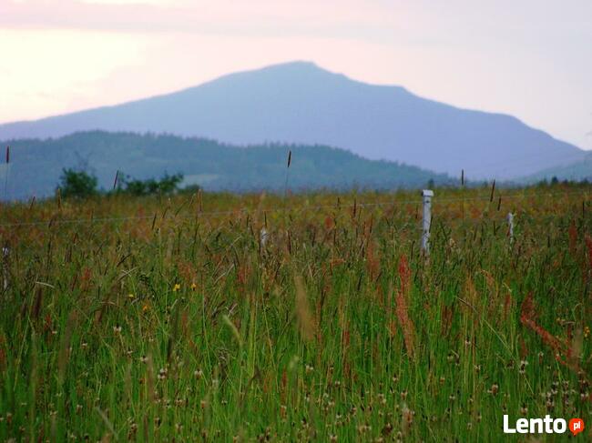 Kwatera w górach / Gorce / Rabka-Zdrój