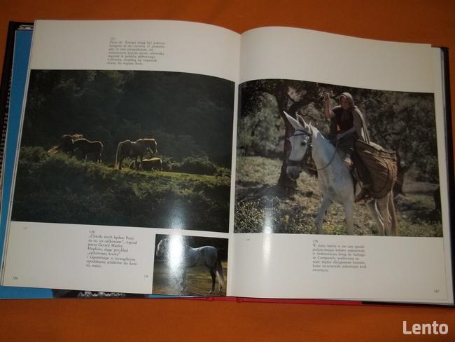 HISZPANIA - autor Dennis Gunton