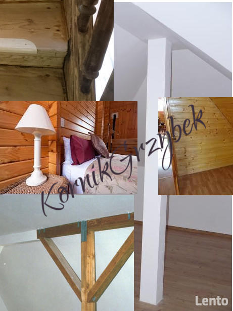 Urządzenie na kornika, kołatti ,spuszczele, grzyba plesń i