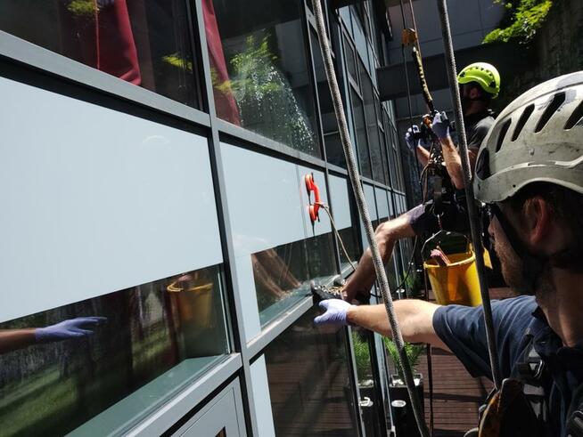 Prace na wysokości Czyszczenie rynien Mycie okien Malowanie