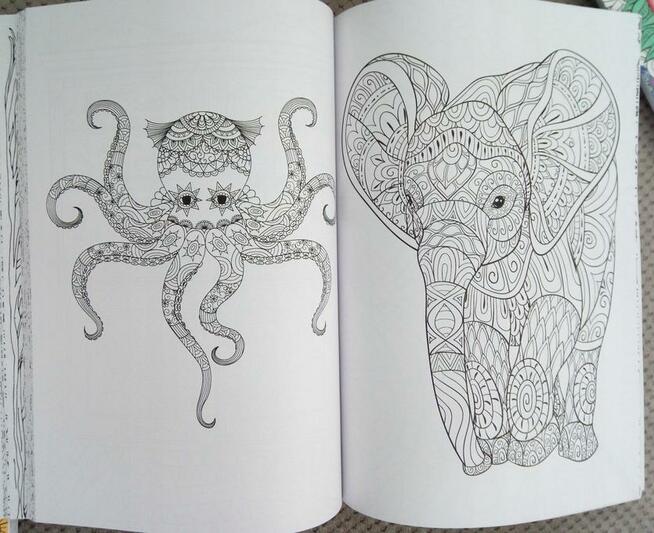 Relaksacyjna antystresowa kolorowanka różne motywy
