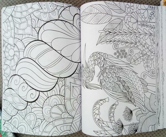 Relaksacyjna antystresowa kolorowanka różne motywy