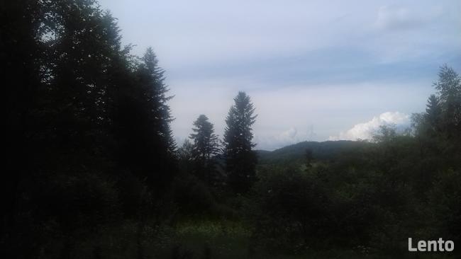 Działka roponośna w lesie Bieszczady Ropienka Ostatnia!