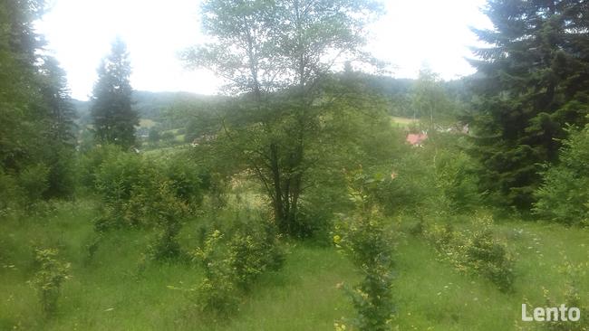 Działka roponośna w lesie Bieszczady Ropienka Ostatnia!