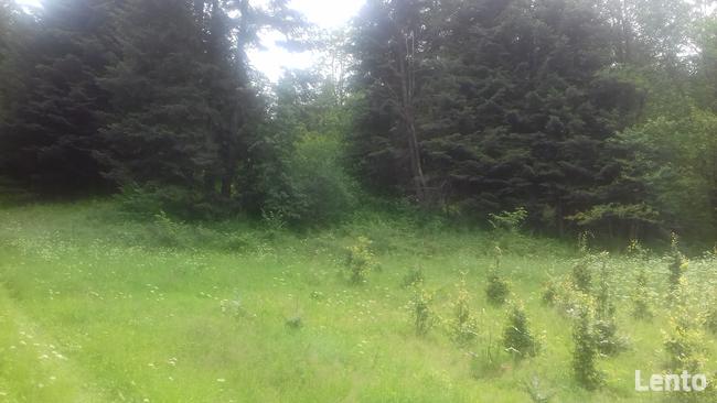 Działka roponośna w lesie Bieszczady Ropienka Ostatnia!