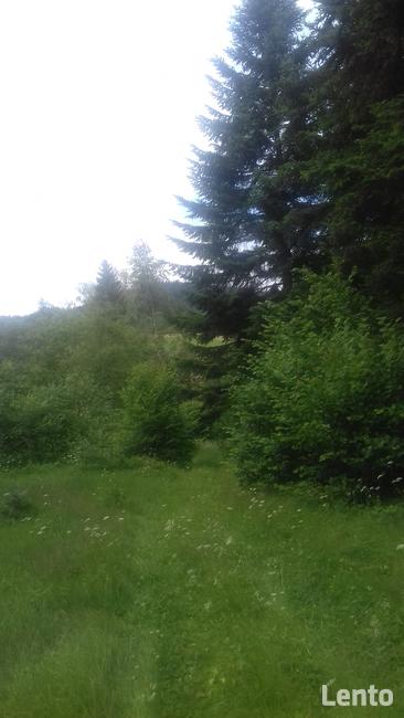 Działka roponośna w lesie Bieszczady Ropienka Ostatnia!