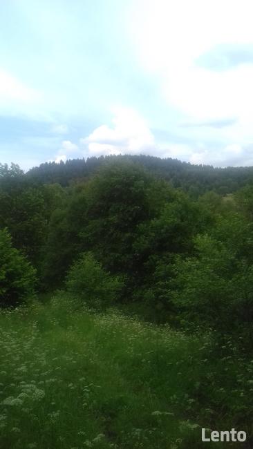 Działka roponośna w lesie Bieszczady Ropienka Ostatnia!