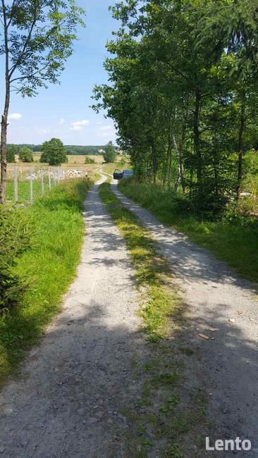 Działka budowlana * SPRZEDAŻ * Hucisko * gm. Niwiska