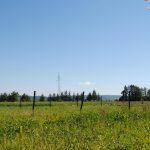 30-arowa działka pod zabudowę w Besku