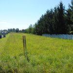 30-arowa działka pod zabudowę w Besku