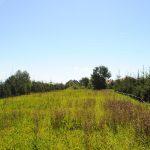 30-arowa działka pod zabudowę w Besku