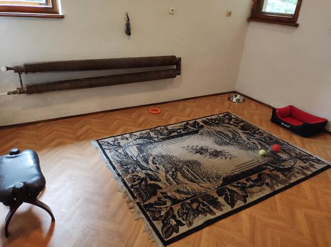 Hotel dla psów TULUNIA