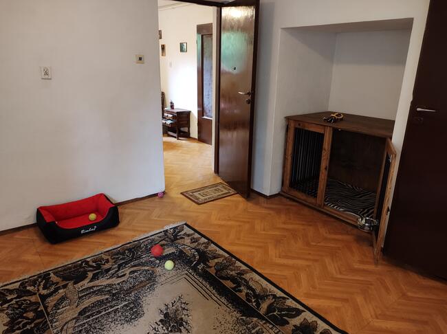 Hotel dla psów TULUNIA